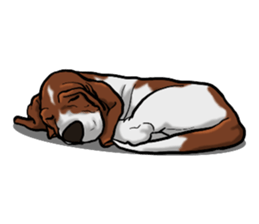 Basset hound 8(dog) sticker #11245673