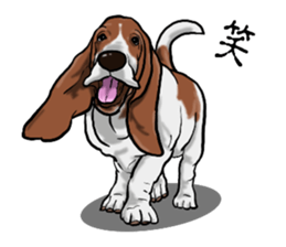 Basset hound 8(dog) sticker #11245684