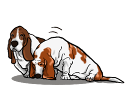 Basset hound 8(dog) sticker #11245687