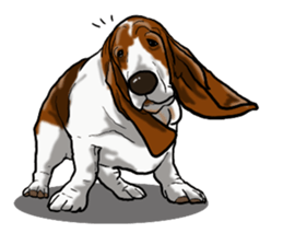Basset hound 8(dog) sticker #11245692