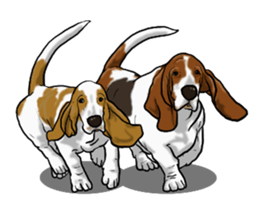 Basset hound 8(dog) sticker #11245703