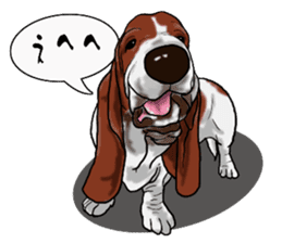 Basset hound 8(dog) sticker #11245706