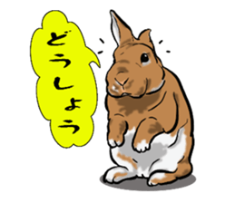 Basset hound 8(dog) sticker #11245708