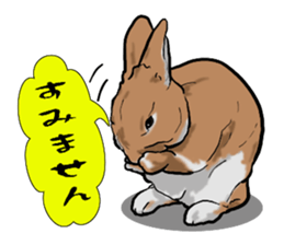 Basset hound 8(dog) sticker #11245709