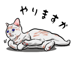 Basset hound 8(dog) sticker #11245711