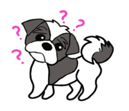 Black and white Shih Tzu dog sticker #11246312