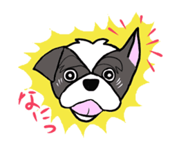 Black and white Shih Tzu dog sticker #11246315