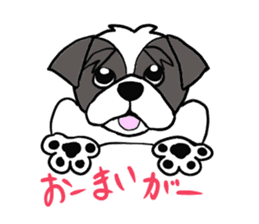 Black and white Shih Tzu dog sticker #11246317