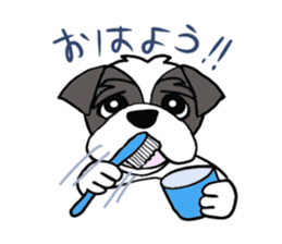 Black and white Shih Tzu dog sticker #11246318