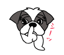 Black and white Shih Tzu dog sticker #11246320