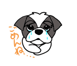 Black and white Shih Tzu dog sticker #11246322