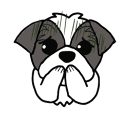 Black and white Shih Tzu dog sticker #11246324
