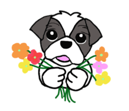 Black and white Shih Tzu dog sticker #11246326