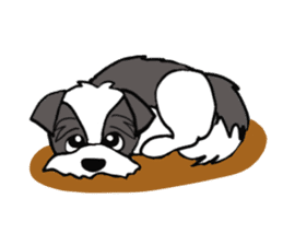 Black and white Shih Tzu dog sticker #11246328
