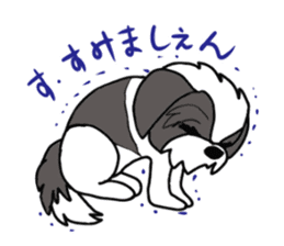 Black and white Shih Tzu dog sticker #11246330