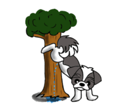 Black and white Shih Tzu dog sticker #11246334