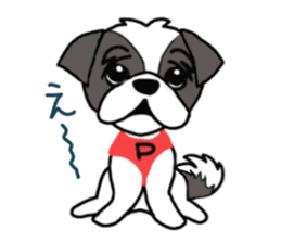 Black and white Shih Tzu dog sticker #11246336
