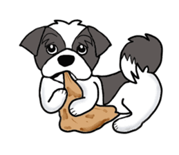 Black and white Shih Tzu dog sticker #11246338