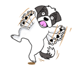 Black and white Shih Tzu dog sticker #11246343