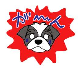 Black and white Shih Tzu dog sticker #11246344