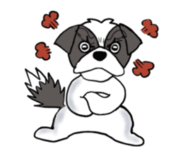 Black and white Shih Tzu dog sticker #11246345