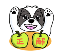 Black and white Shih Tzu dog sticker #11246350