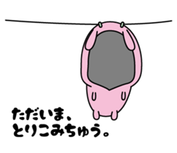 Tights rabbit sticker #11247564