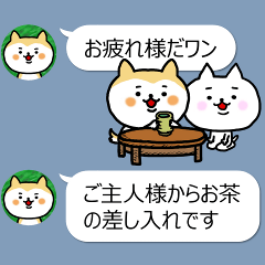 The dog which is next to the icon