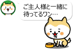 The dog which is next to the icon sticker #11248693