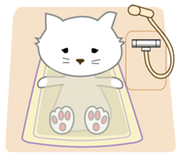 A Lonely Cat sticker #11249204