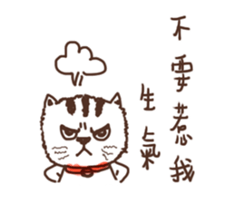 I did not see anything 2 sticker #11250001