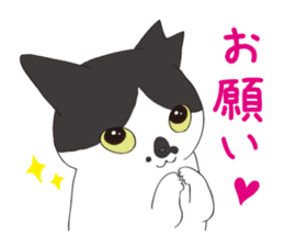 Horses&Cats All-star sticker #11250555