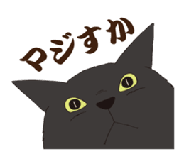 Horses&Cats All-star sticker #11250556