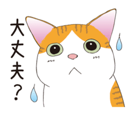 Horses&Cats All-star sticker #11250557