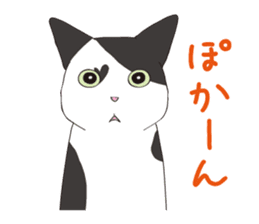 Horses&Cats All-star sticker #11250558