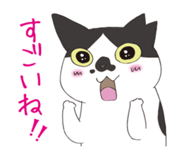 Horses&Cats All-star sticker #11250562