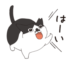 Horses&Cats All-star sticker #11250566