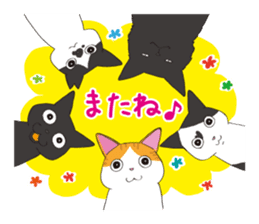 Horses&Cats All-star sticker #11250569