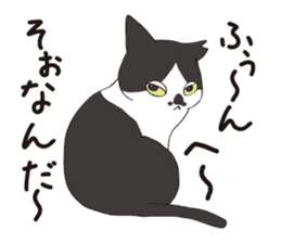 Horses&Cats All-star sticker #11250573