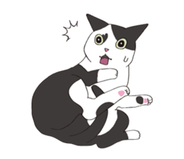 Horses&Cats All-star sticker #11250576