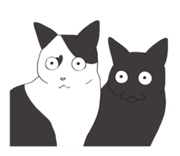 Horses&Cats All-star sticker #11250578