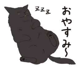 Horses&Cats All-star sticker #11250581