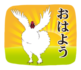 Horses&Cats All-star sticker #11250582