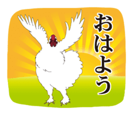 Horses&Cats All-star sticker #11250582