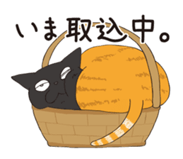 Horses&Cats All-star sticker #11250585