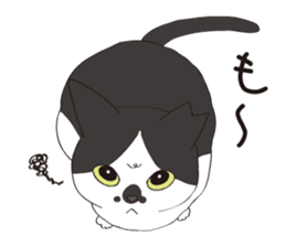 Horses&Cats All-star sticker #11250586