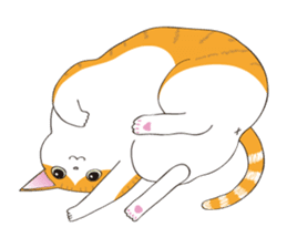 Horses&Cats All-star sticker #11250588