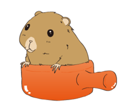 Horses&Cats All-star sticker #11250590