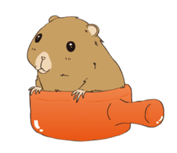 Horses&Cats All-star sticker #11250590