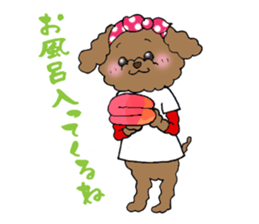 Teacup life of the poodle "cocoa" 2 sticker #11252689